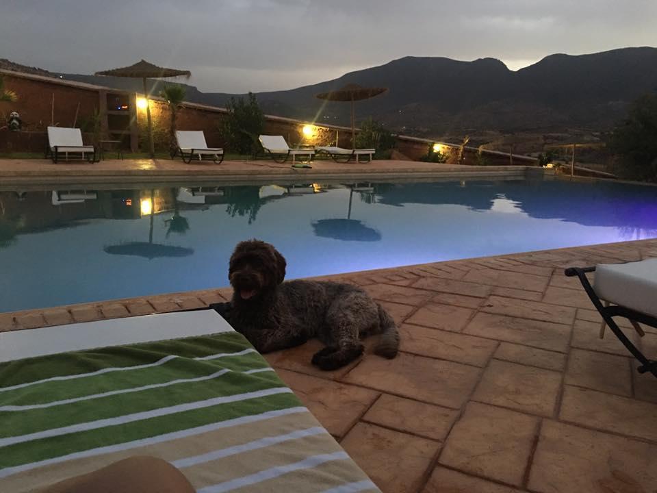 Palais D'Ouzoud Hotel Azilal Eksteriør billede